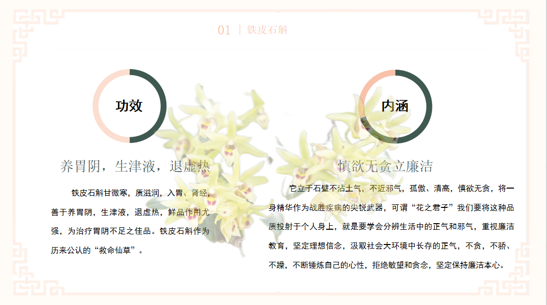 铁皮石斛